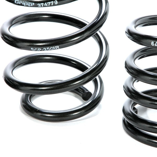 Mustang V8 Lowering Coil Springs 79-04 - BBK Performance