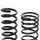 Mustang V8 Lowering Coil Springs 79-04 - BBK Performance