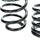 Mustang V8 Lowering Coil Springs 79-04 - BBK Performance
